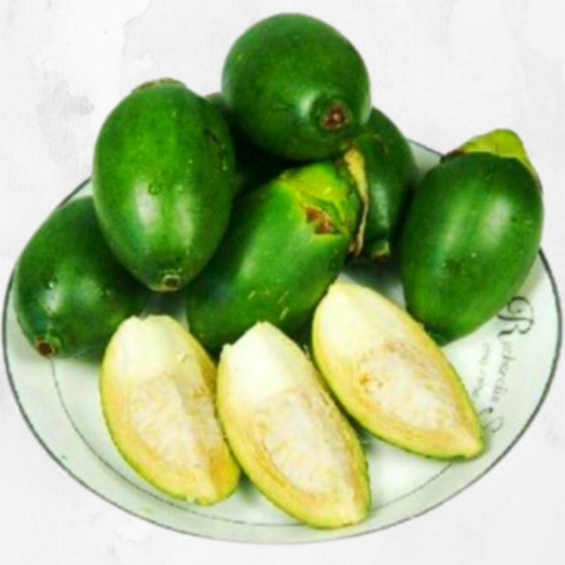 

BUAH PINANG MUDA / BUAH JAMBE MUDA SEGAR