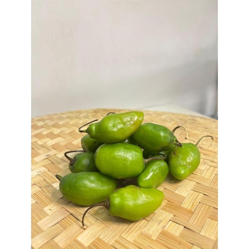 

cabe gendot / cabai gendot / cabai bendot