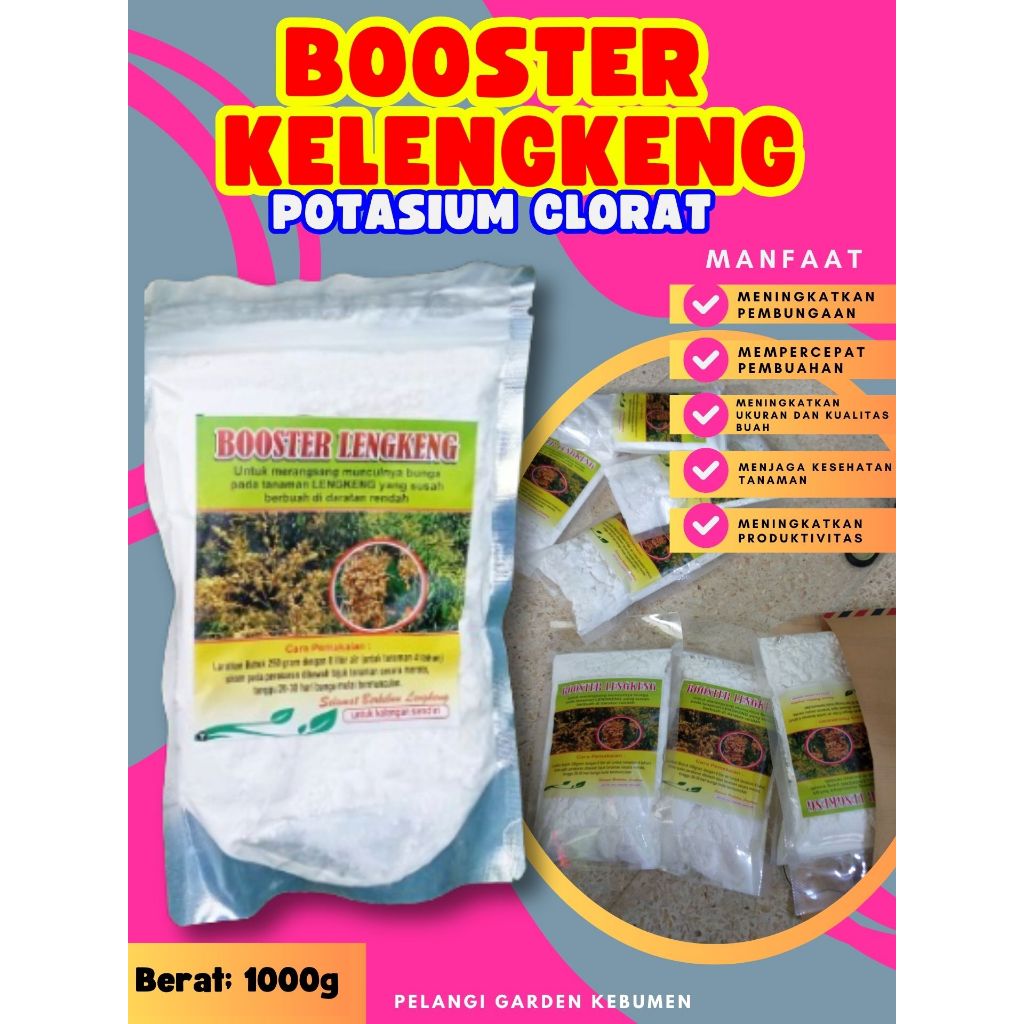 SOLUSI AMPUH  Booster Kelengkeng Cangkokan, Booster Kelengkeng Cristal