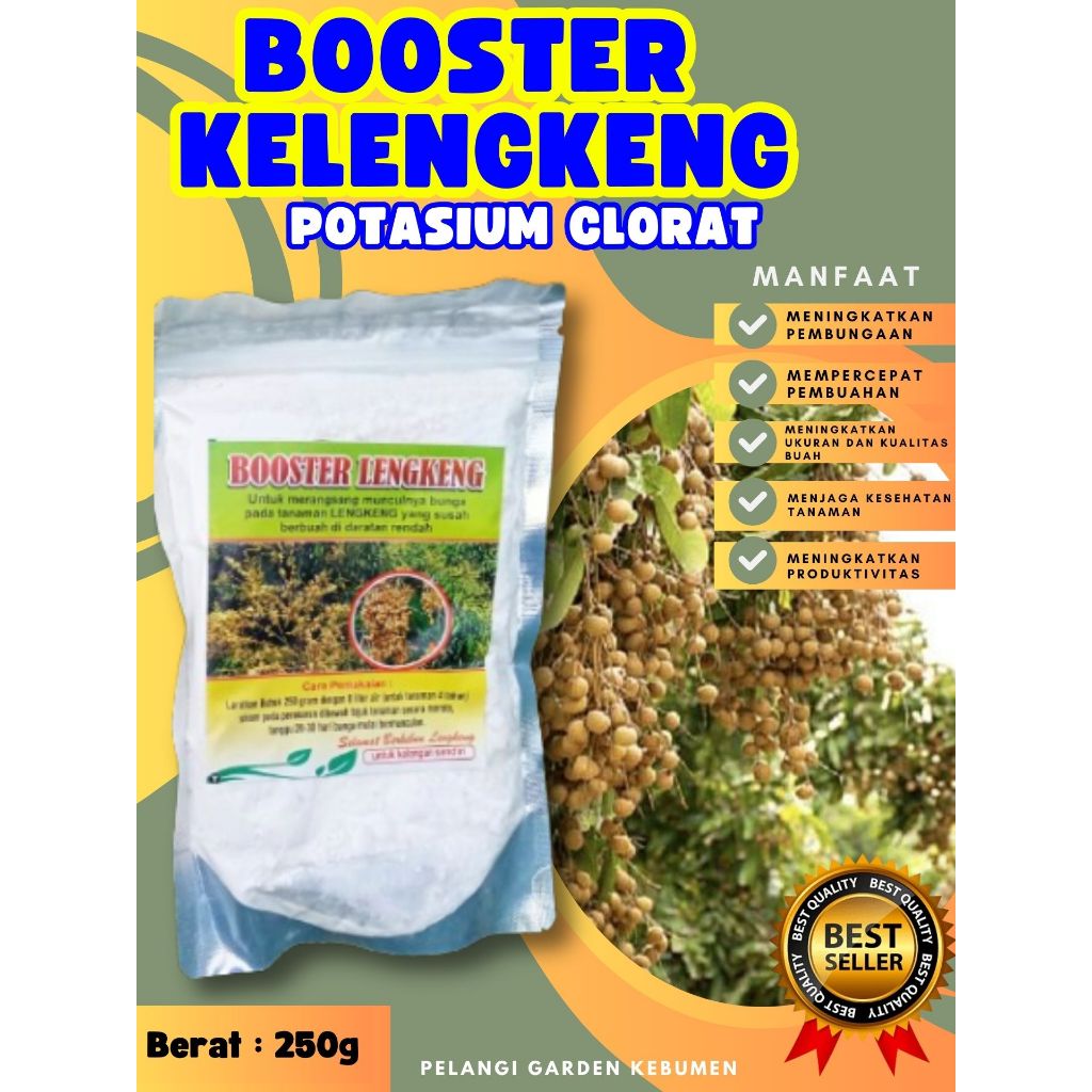 BEST SELLER ! Booster Kelengkeng Kclo 3 Murni, Booster Kelengkeng Kclo 3