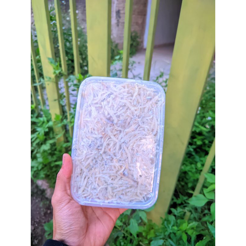 

TERI NASI ASIN