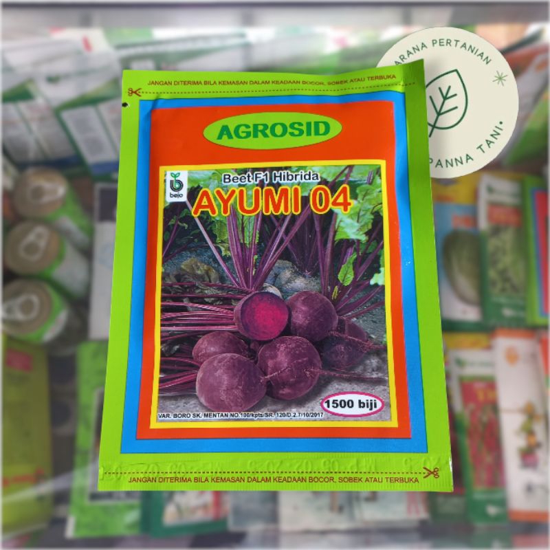 BENIH BIT AYUMI 04 1500 BIJI – BENIH BEET F1 HIBRIDA | BIBIT BUAH BIT | BIBIT SAYUR BIT