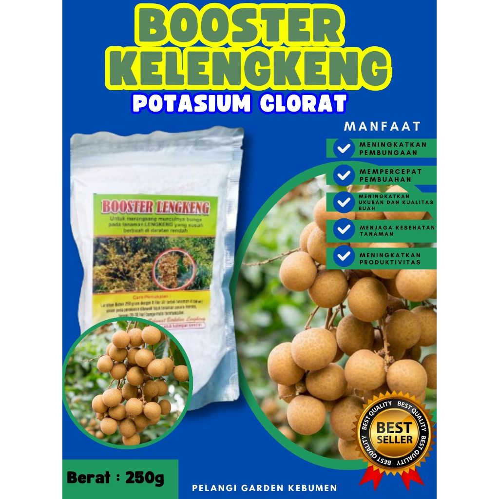 DIJAMIN ASLI  Booster Kelengkeng Berbuah, Booster Kelengkeng Berbunga, Booster Kelengkeng Cepat Berb