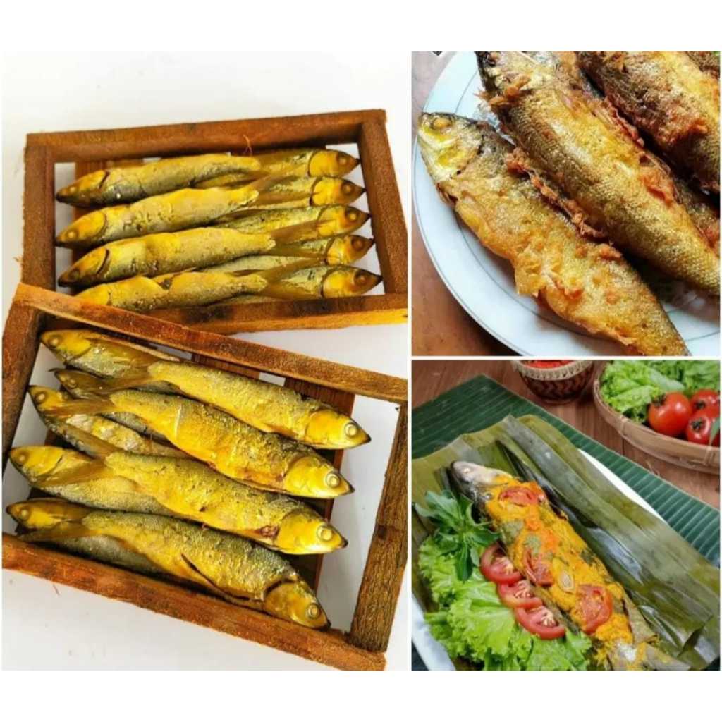 

Bandeng Presto Ori l Bandeng Presto Bumbu l Jbp_Frrsh