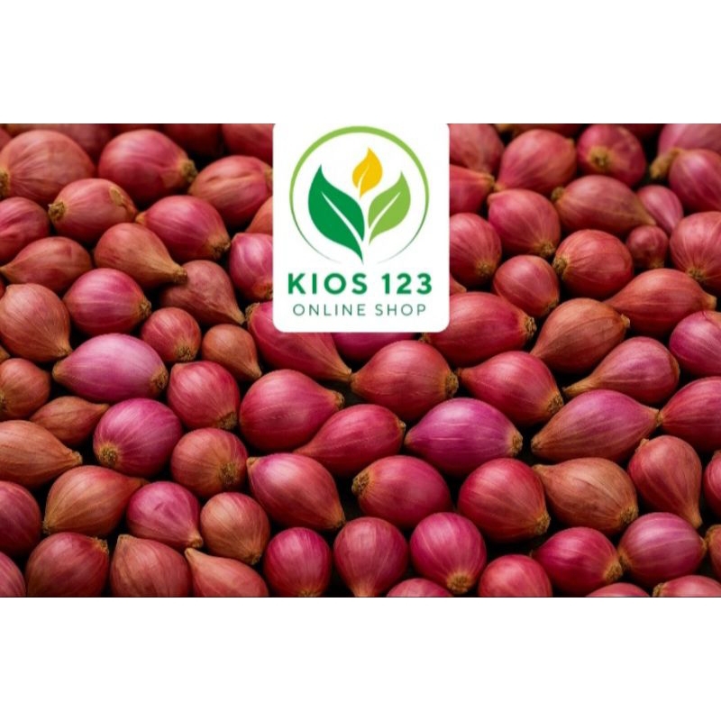 

BAWANG MERAH ENREKANG MURAH