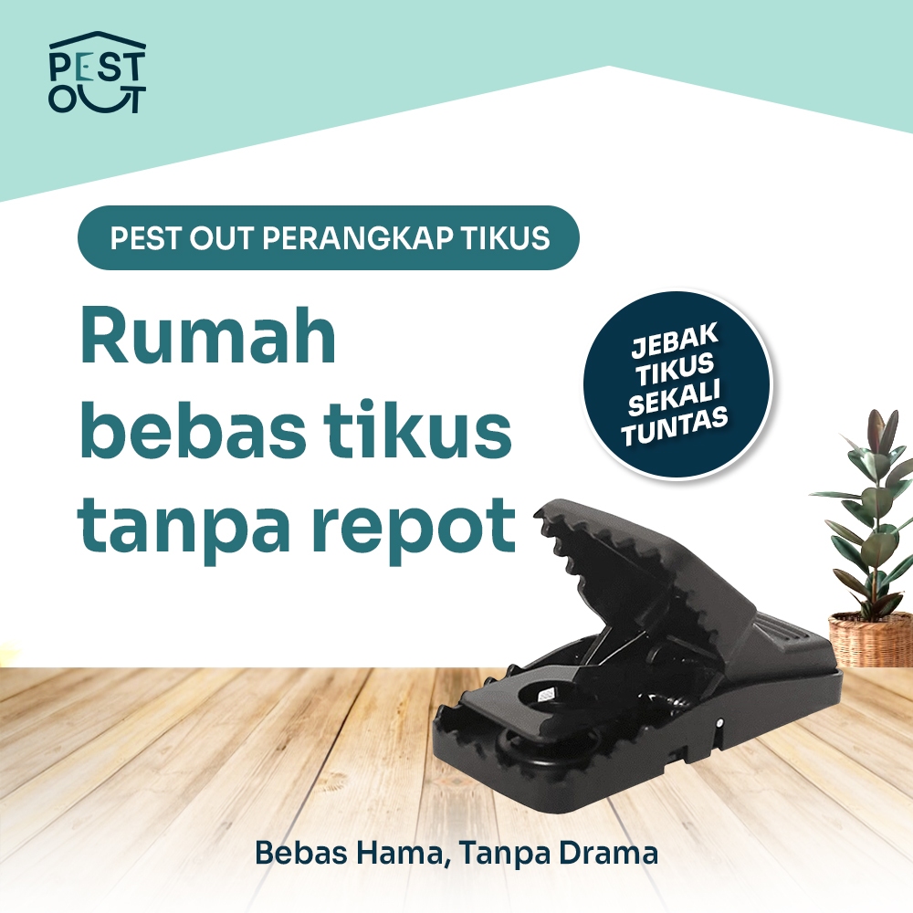 Cepitan Tikus Besar Alat Perangkap Jebakan Tikus Blister - Perangkap Tikus Jumbo Tebal Kuat