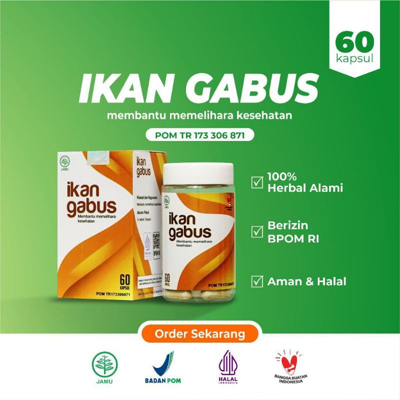 Ikhtiar Jaga Kesehatan Kapsul IKAN GABUS