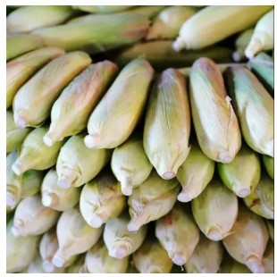 

Jagung Manis / Sweet Corn 1 Buah