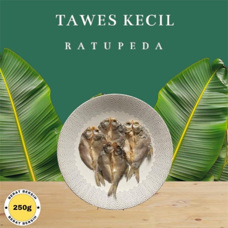

Ikan Asin Tawes Kecil Murah Fresh Food 250,500,1000gr