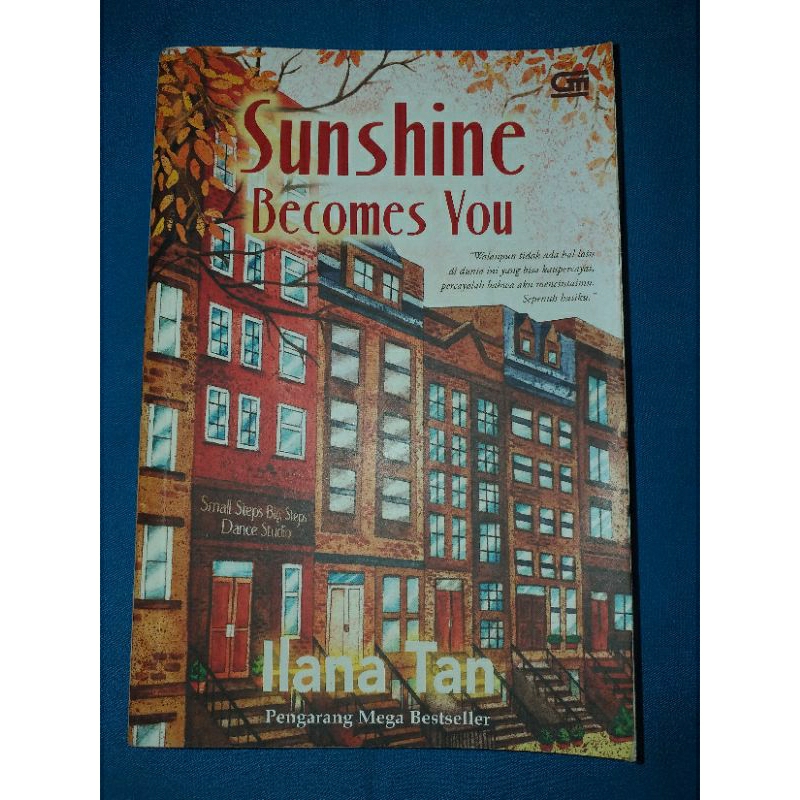 Preloved Buku Sunshine Becomes You / Ilana Tan