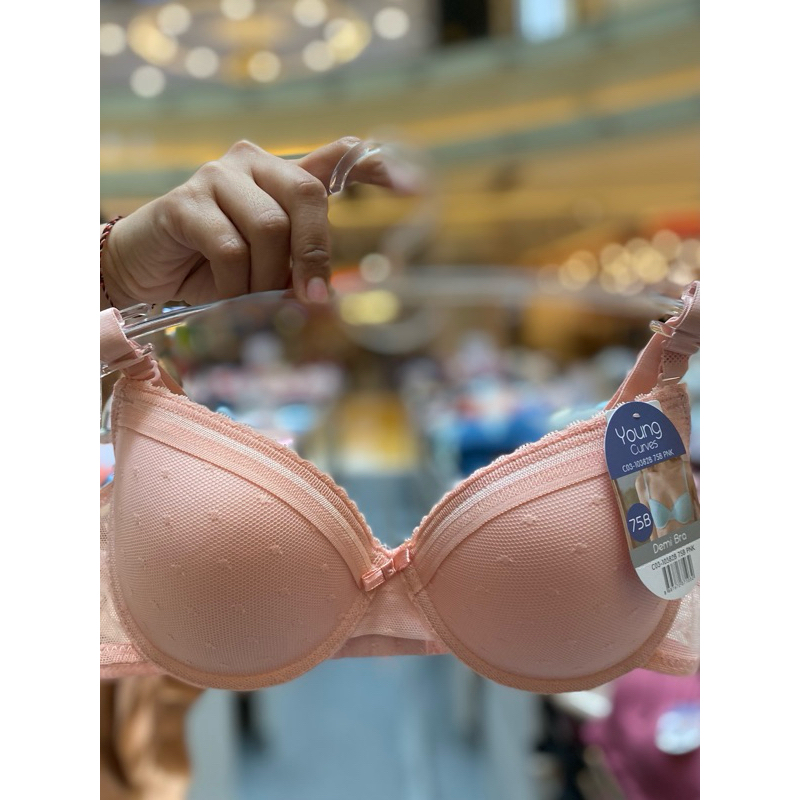 Young Curves C03-10382B