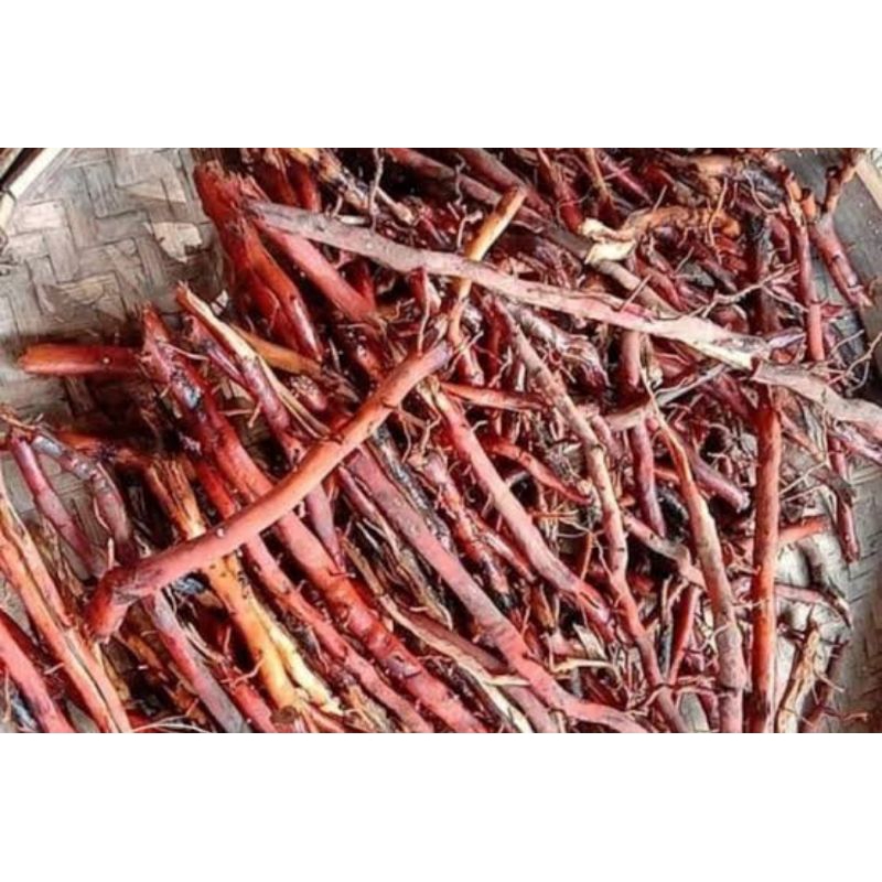 

Akar pohon kelapa kering asli organik berat 1 kg rempah nusantara