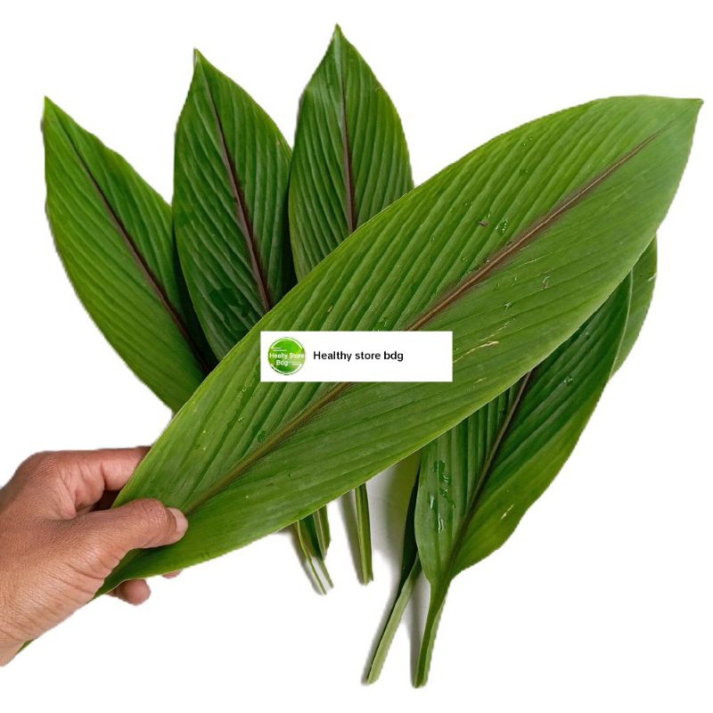 

Daun kunyit putih - daun temulawak segar 500 gram