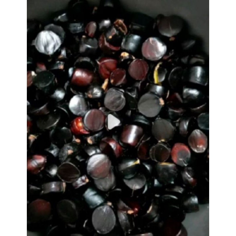 

500GRAM KABAU / KABAU BUAH JALING ASLI