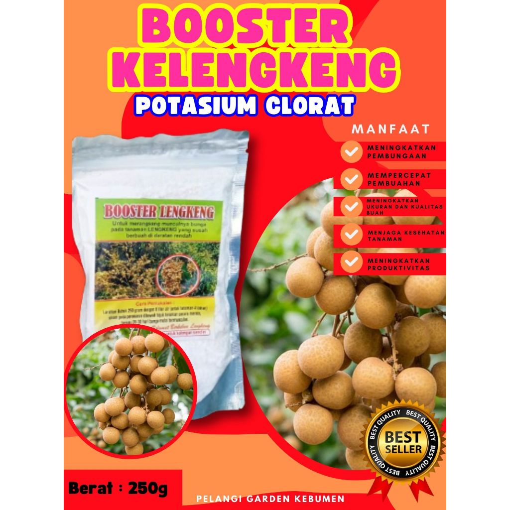 TERLARIS  Boster Kelengkeng Stek, Boster Kelengkeng Terbaik 250GRAM