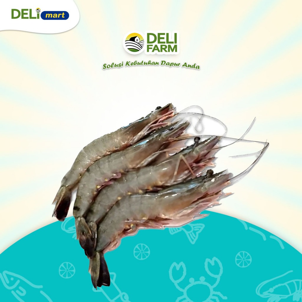 Deli Mart [Khusus INSTAN Medan] Udang Segar by Deli Farm