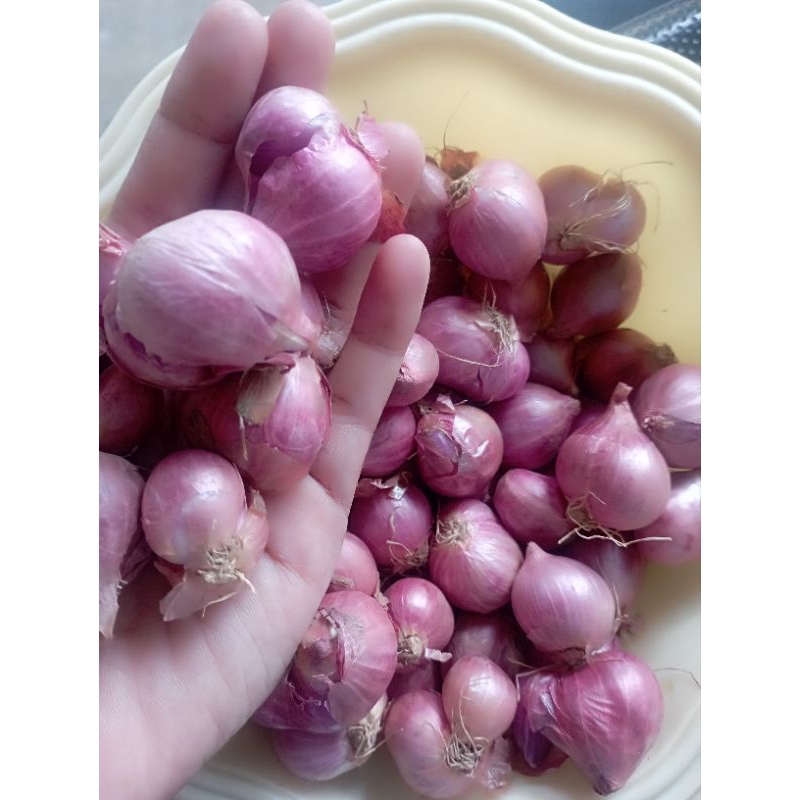 

Bawang merah lokal 500gr