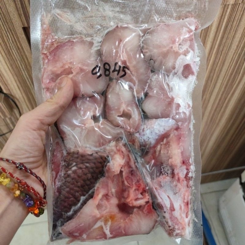 

ikan gabus 1 ekor