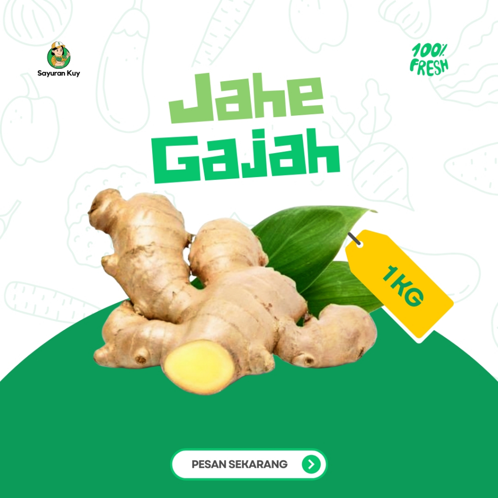 

Jahe Gajah Segar Fresh 1kg