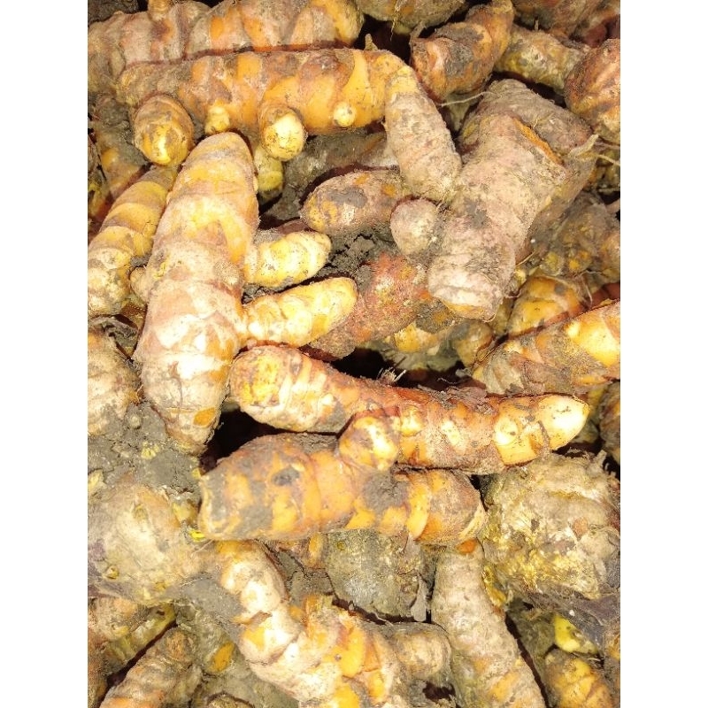 

kunyit super 500gram