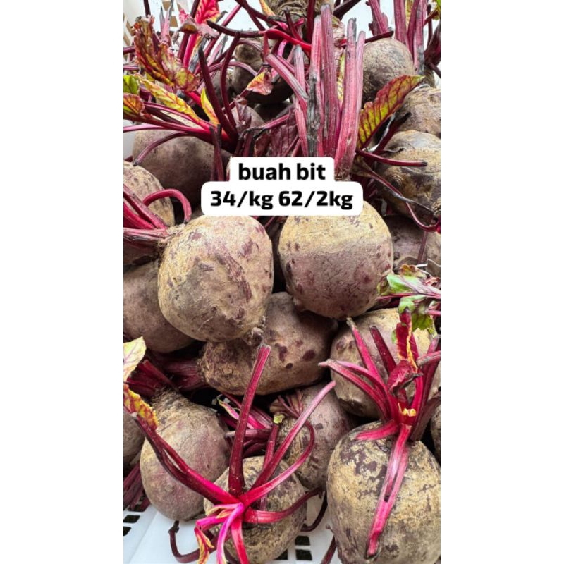

Beetroot/buah bit