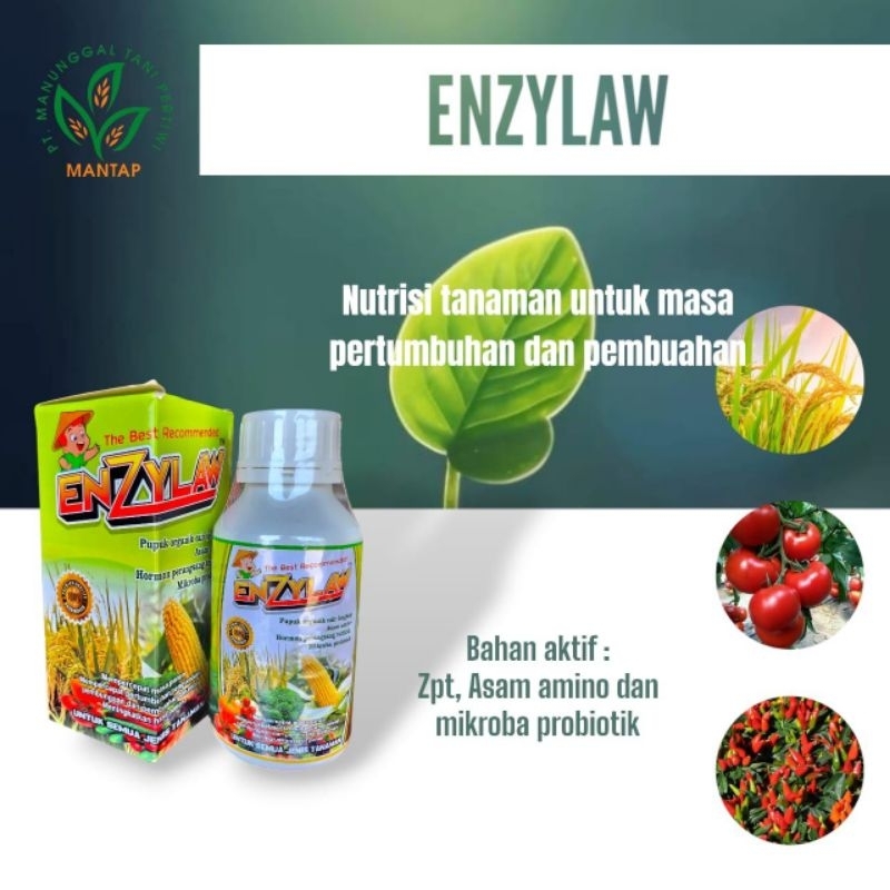 ENZYLAW 500 ml(Pupuk cair organik lengkap)