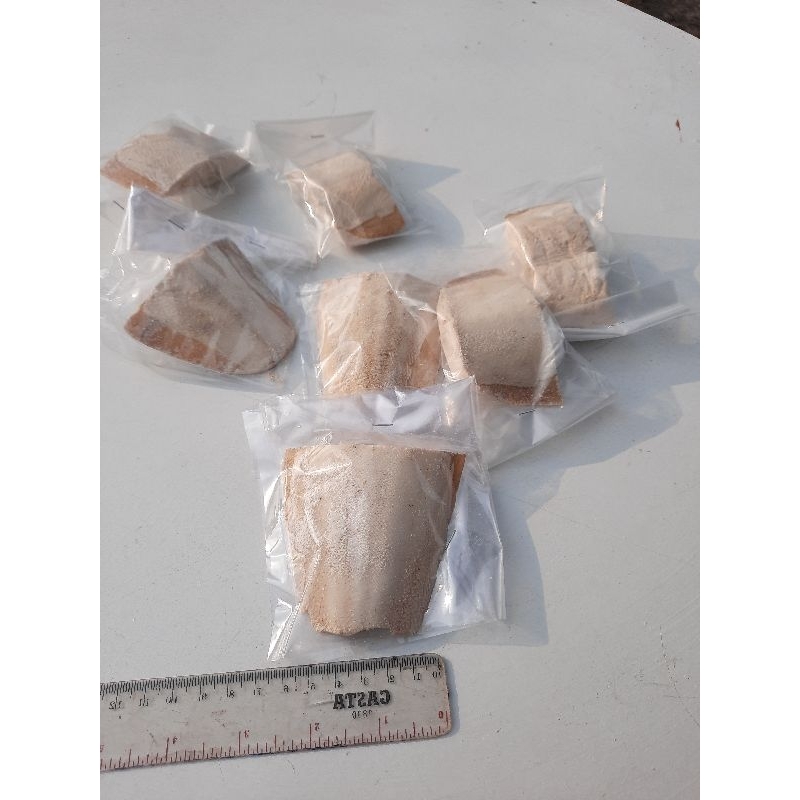 

Tulang sotong ,asinan tulang sotong,