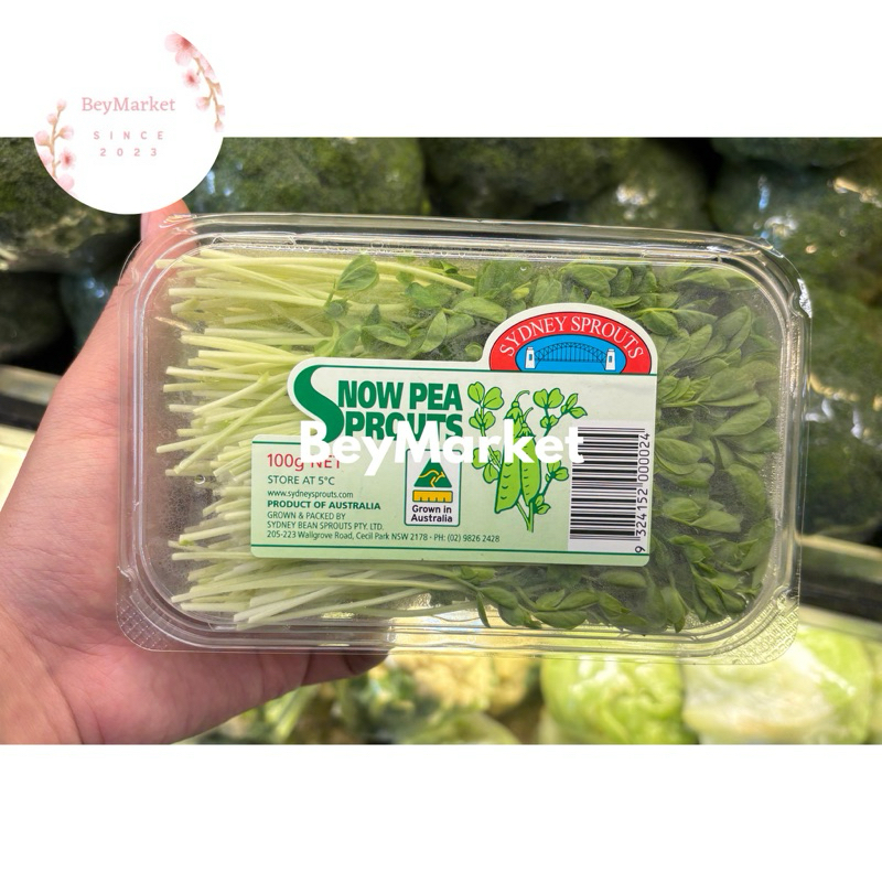

Snowpea Sprout Australia 100g | Sayur Snowpea Salad