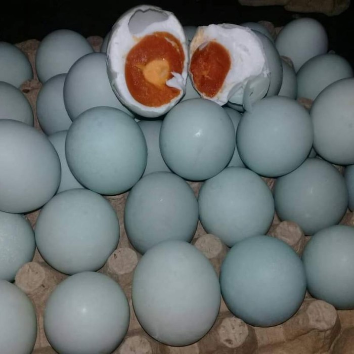 

Telur asin asli Brebes sudah matang dan masir isi 1butir