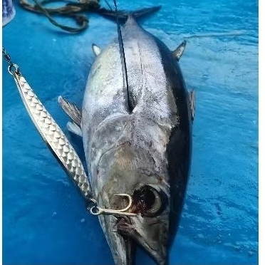 Umpan Pancing Spoon Lure 30 gram & 40 gr tinggal pakai