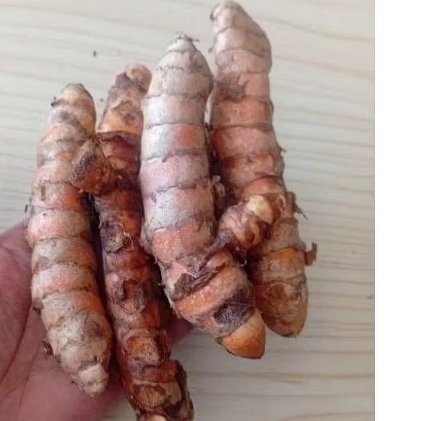 

Kunyit Segar Super 1Kg