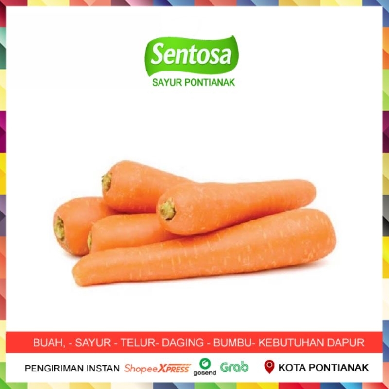 

Wortel 300 gram Brastagi Segar Promo Murah Sentosa Sayur Pontianak