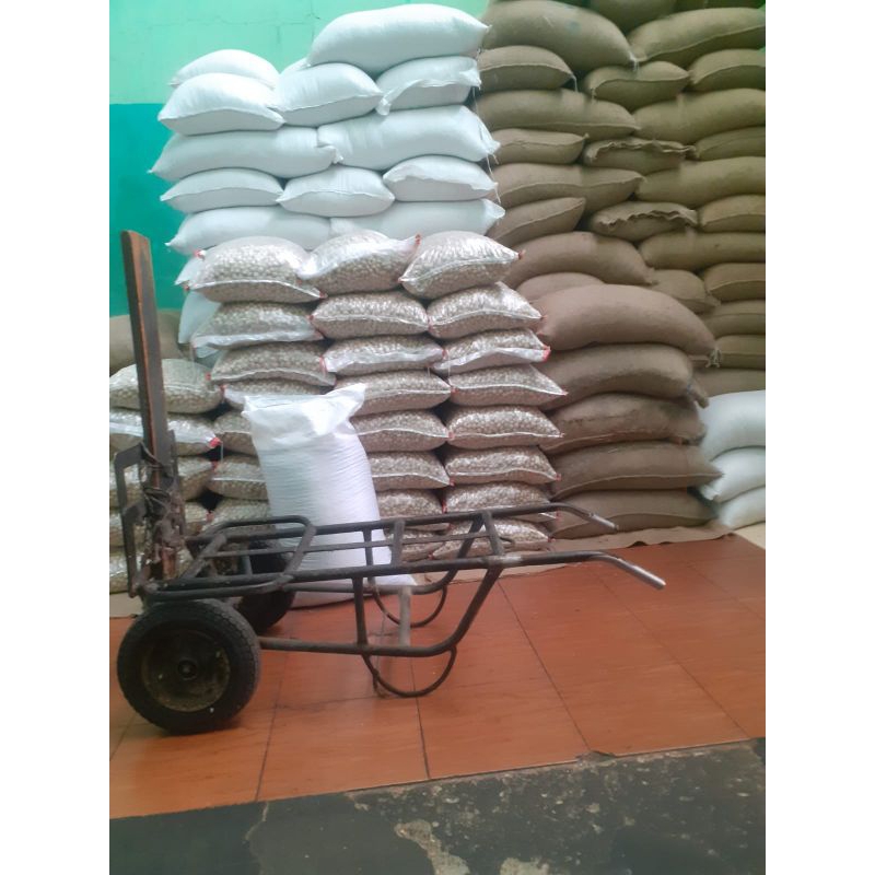 

HG KEMIRI BULAT SUPER GRADE A 5KG