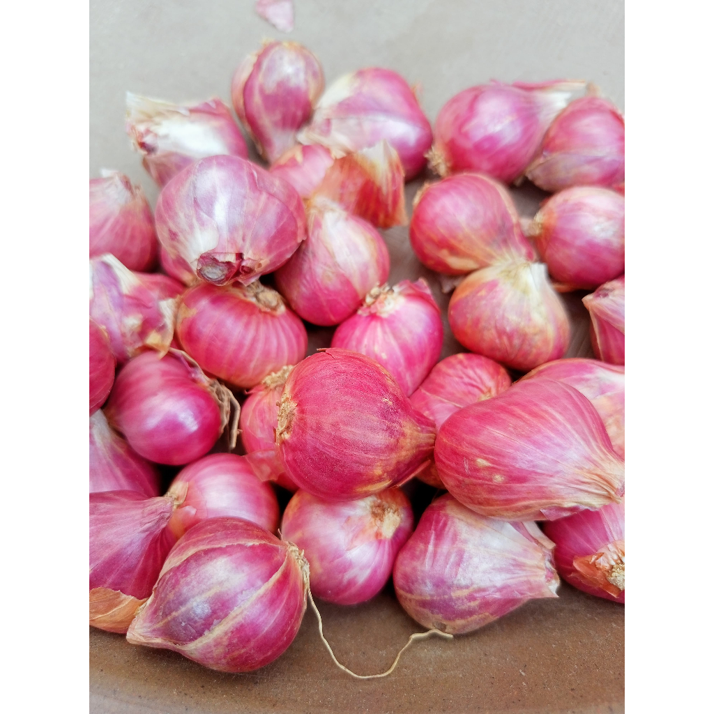 

Bawang Merah Probolinggo Tanggung Besar kemasan 1 kg