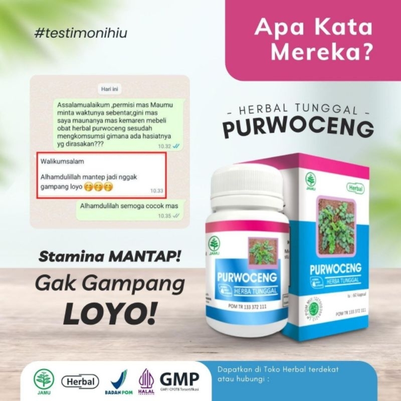 

Herbal Tunggal Purwoceng