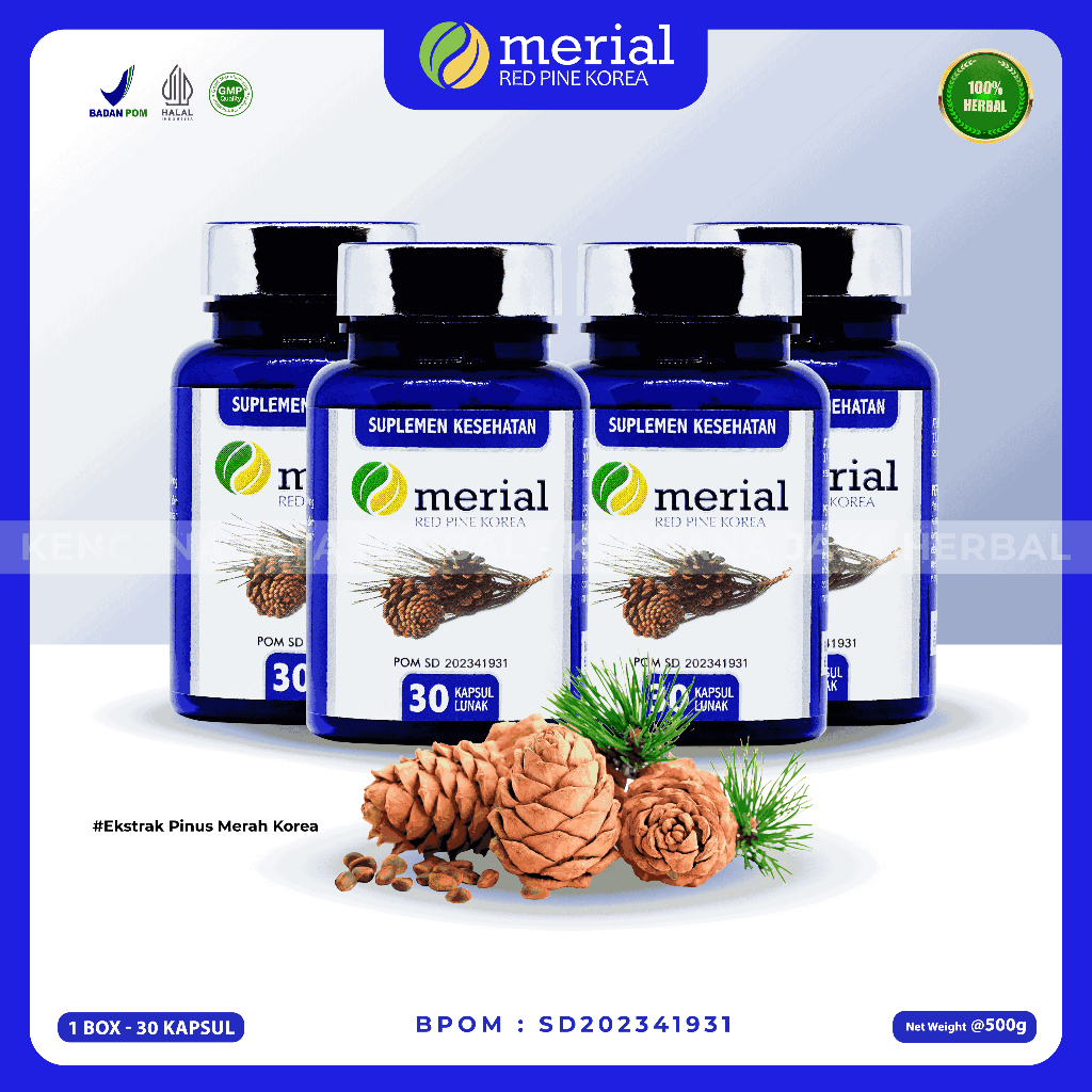 MERIAL RED PINE - PAKET 4 BOX / Merial Obat Kolesterol