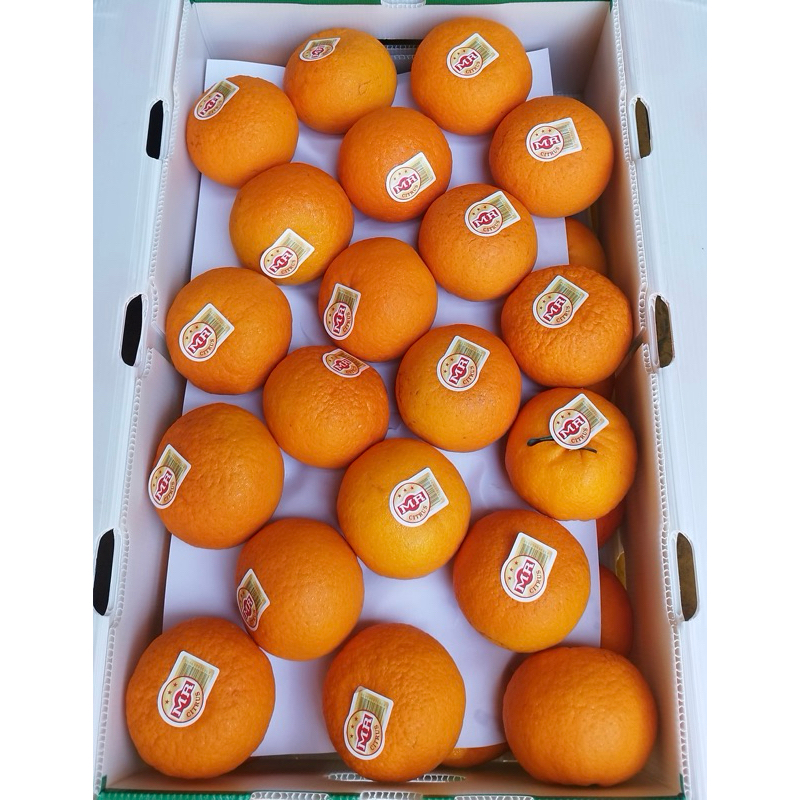 

JERUK WOGAN S’85 /CTN 8,5kg