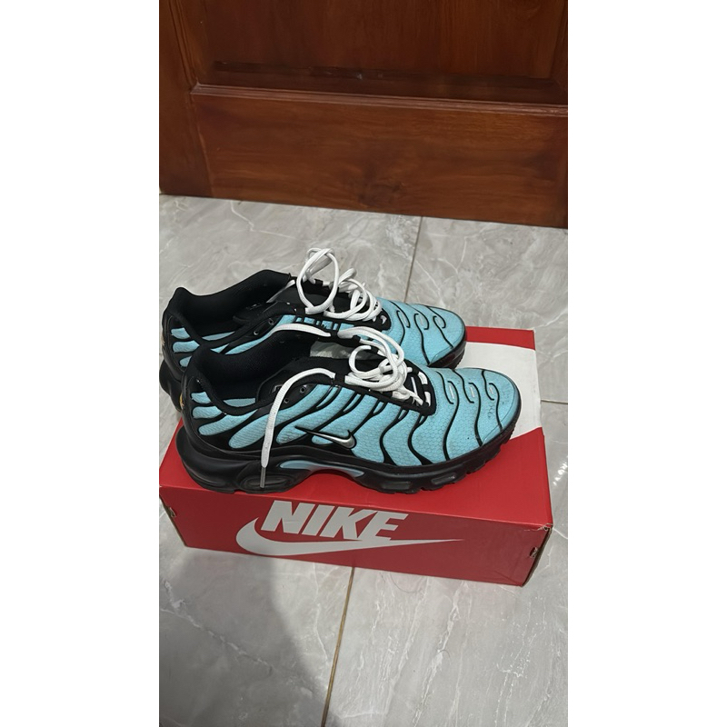 NIKE AIR MAX PLUS / NIKE TN BLUE