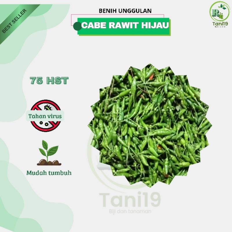 

biji benih cabe rawit hijau lokal | murah |cod