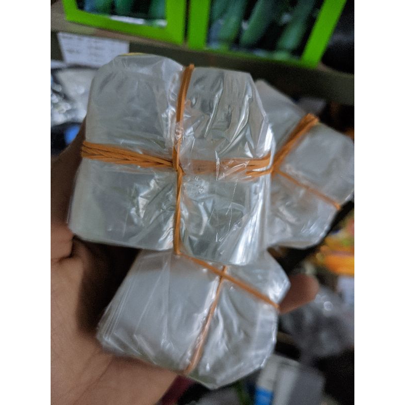 POT SEMAI BENIH PLASTIK SEMAI BENIH POLIBEK BENIH UKURAN 6X6
