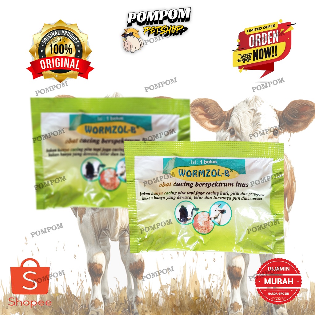 WORMZOL-B OBAT CACING SAPI