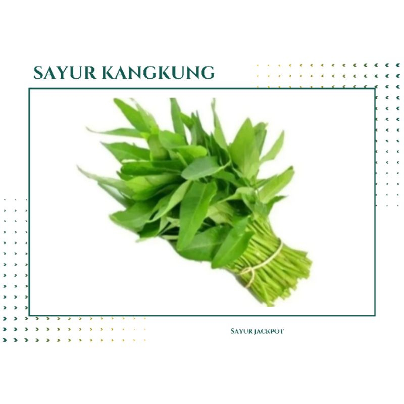 

Sayur kangkung petikan segar [ 1ikat ]