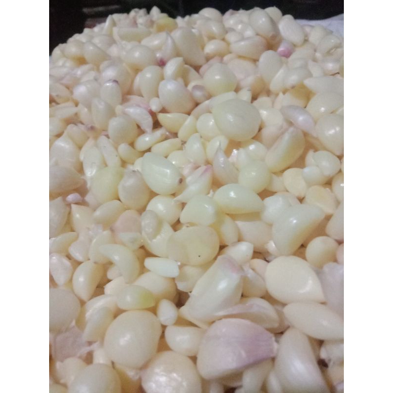 

BAWANG PUTIH LOKAL, BAWANG PUTIH JAWA, BAWANG PUTIH MURAH ,BAWANG PUTIH KUPAS, BAWANG PUTIH LOKAL JAWA, BAWANG PUTIH INDONESIA, BAWANG PUTIH KUPAS JAWA