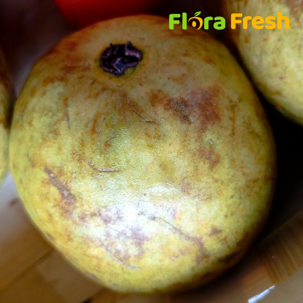 

Jambu Biji 500 Gram Flora Fresh