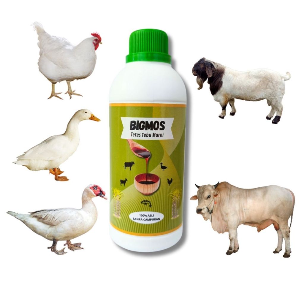 IK2 Vitamin Kambing Biar Gemuk BIGMOS Obat Kambing Cepat Gemuk / Penggemuk Kambing, Penggemuk Sapi,