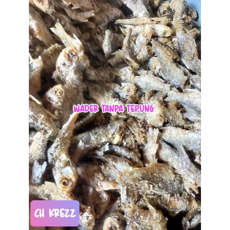 

WADER TANPA TEPUNG 250GR