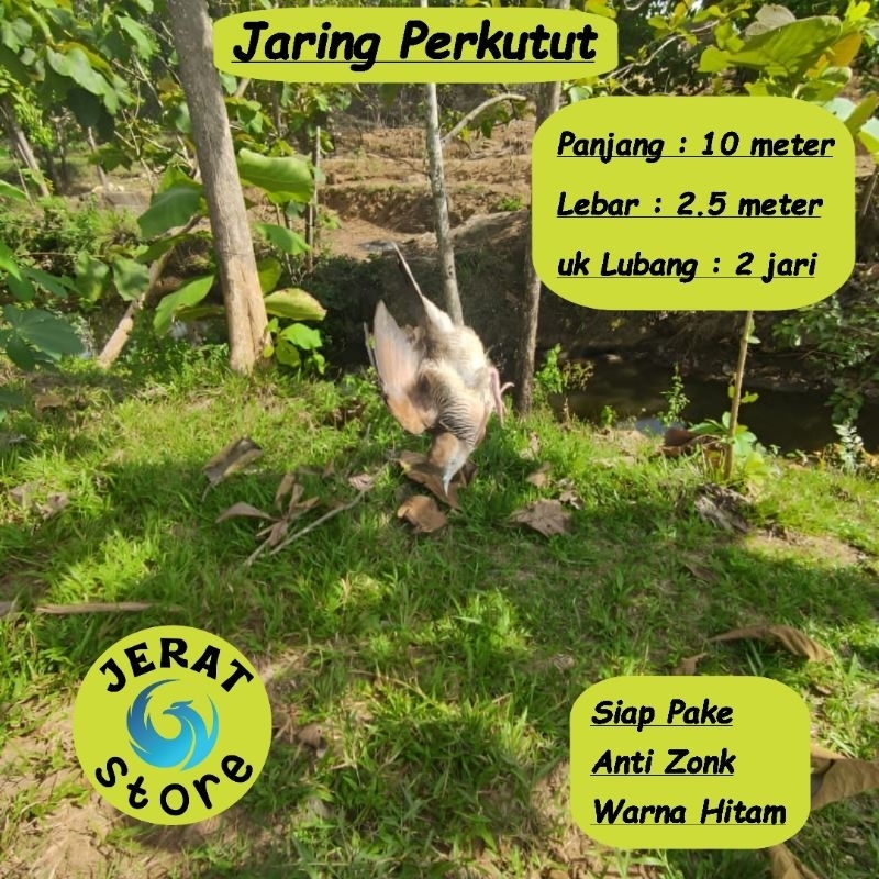 JARING BURUNG PERKUTUT JALA PERKUTUT LOKAL JARING PIKAT KUTUT JARING JEBAK PERKUTUT JALA JEBAK JARIN
