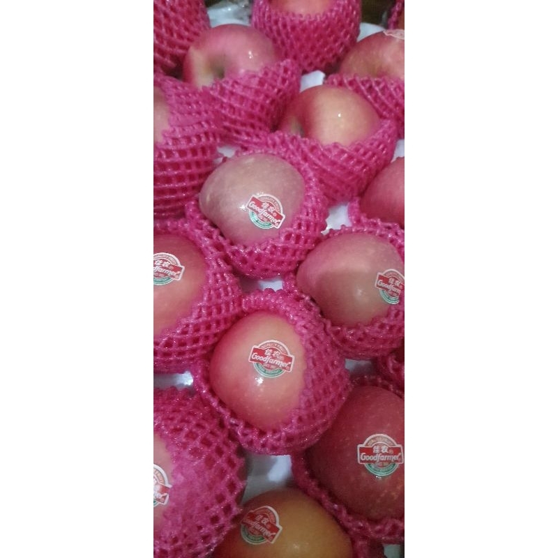 

Apel Fuji GoodFarmer dijamin bagus dan kress 900g-1kg
