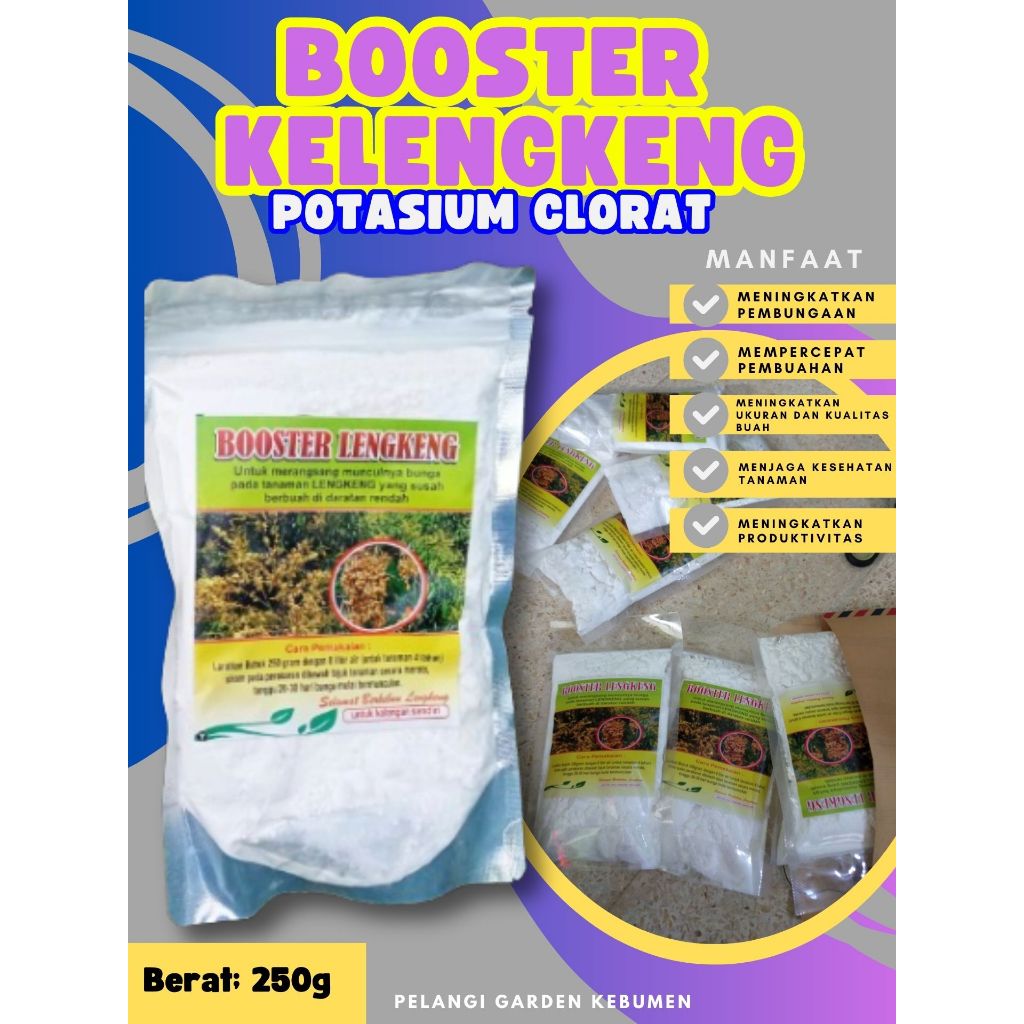 PROMO  Booster Kelengkeng Merah Cangkok Berbuah, Booster Kelengkeng Matalada