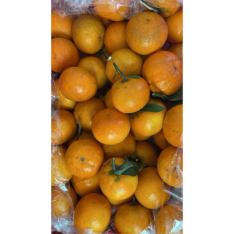 

jeruk wokam mini manis berat 900-1000 g